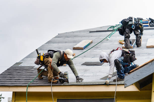 Professional Roofing technician working in Luthersburg, PA